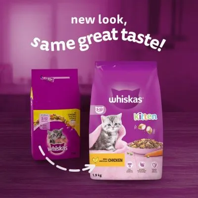 Två förpackningar Whiskas Kitten 2–12 månader, synlig text: 'new look, same great taste!', '100% delicious CHICKEN', vikt 1,9 kg. Bild på kattunge och torrfoder.