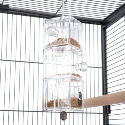 Mangeoire transparente en plastique suspendue dans une cage à oiseaux, compartiments remplis de graines visibles, perchoir en bois à côté.
