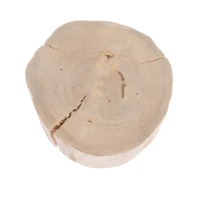Tranche de bois naturel, section ronde avec fissures visibles, surface lisse et non traitée. Aucun texte ou marque apparente.