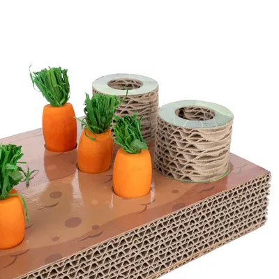 Plateau en carton avec quatre carottes orange à feuilles vertes et deux cylindres en carton ondulé, tous insérés dans des trous sur la surface du plateau.
