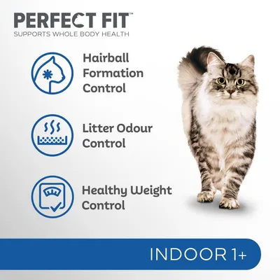 Product features: hairball formation control, litter odour control, healthy weight control. Suitable for indoor pets aged 1 year and above.