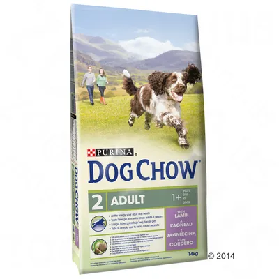 Purina Dog Chow 2 Adult z jagnięciną, dla psów dorosłych 1+, masa netto 14 kg. Widoczne napisy: with lamb, z jagnięciną, l’agneau, con cordero.