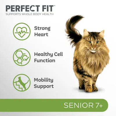 PERFECT FIT Supports Whole Body Health. Strong Heart, Healthy Cell Function, Mobility Support. SENIOR 7+. Billede af langhåret kat. Tekst på engelsk.