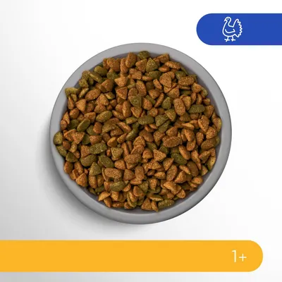 Bowl of dry pet food with brown and green kibble, turkey icon in top right corner, and age indication 1+ in yellow bar at bottom.