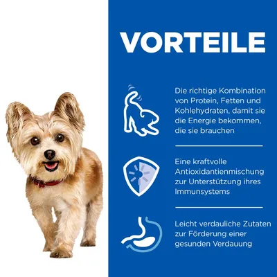 VORTEILE: Kombination aus Protein, Fett und Kohlenhydraten für Energie. Antioxidantien zur Unterstützung des Immunsystems. Leicht verdauliche Zutaten für gesunde Verdauung.
