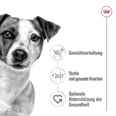 Gewichtserhaltung, starke und gesunde Knochen, optimale Unterstützung der Gesundheit. Drei Symbole mit Hund, Gelenken und Herz dargestellt.