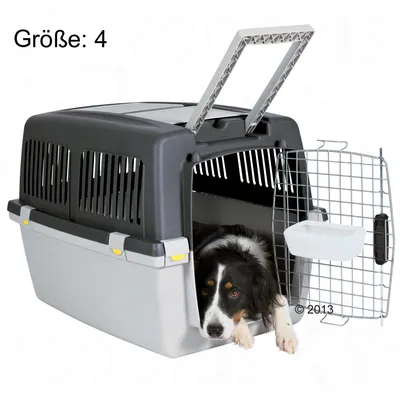 Transportbox storlek 4 med öppen gallerdörr, svart och vit hund ligger inuti. Synlig vattenbehållare på dörren.