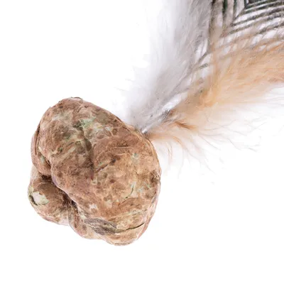 Legetøj af naturmaterialer med brun knold og beige fjer, egnet til interaktiv leg.