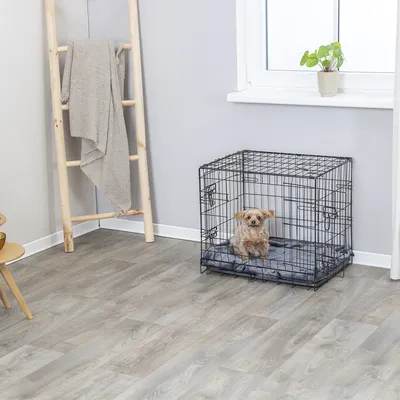 Hund in einem schwarzen Metallkäfig mit grauer Polsterung, platziert in einem modernen Raum mit Holzleiter und Pflanze auf Fensterbank.