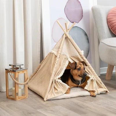 Hund liegt in einem beigefarbenen Tipi-Zelt mit Fransen und geometrischem Muster. Zelt auf Holzfußboden neben einer Laterne und Möbelstücken.