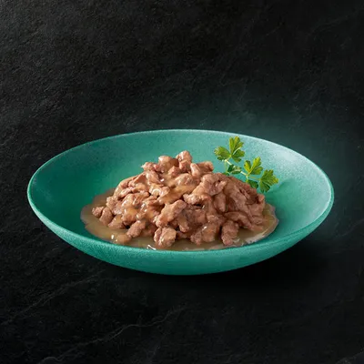 Bowl containing chunks of wet pet food in gravy, garnished with a sprig of parsley, shown for product texture and appearance.