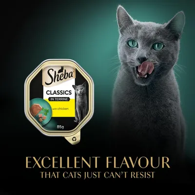 Sheba Classics in Terrine with chicken, 85g. Text: Excellent flavour that cats just can’t resist.