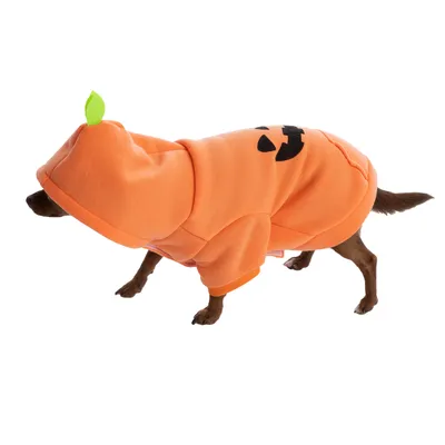 Hundekostume i orange med græskar-motiv og grønt blad på hætten.