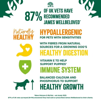 87% of UK vets recommend James Wellbeloved. Hypoallergenic for sensitive pets, supports healthy digestion, immune system, and growth with natural fibres, vitamin E, calcium, and phosphorus.