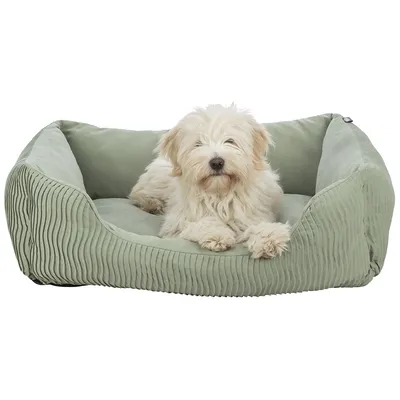 Hund liegt in einem grünen Hundebett mit geripptem Stoffdesign.