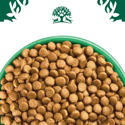 James Wellbeloved Puppy/Junior Hypoallergenic Superfoods - Turkey with Kale & Quinoa