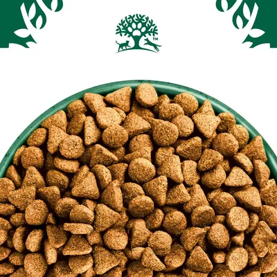 Bowl filled with dry pet food kibble, shown close up to display shape and texture. Green tree and animal symbol above the bowl.