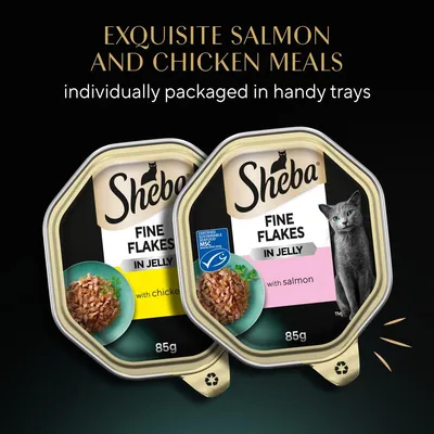 Sheba Fine Flakes in Jelly with chicken and salmon, 85g trays. Exquisite salmon and chicken meals, individually packaged in handy trays. Certified sustainable seafood MSC.