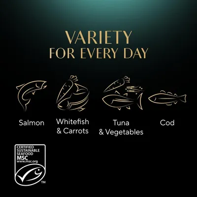 Variety for every day: Salmon, Whitefish and Carrots, Tuna and Vegetables, Cod. Certified sustainable seafood MSC.