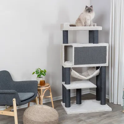 Kratzbaum mit mehreren Ebenen, Hängematte und Höhle aus grauem Stoff. Katze sitzt auf der obersten Plattform.