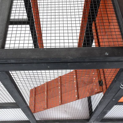 Detailný pohľad na výbeh s čiernym dreveným rámom a kovovou mriežkou a oranžovým schodiskom vo vnútri.