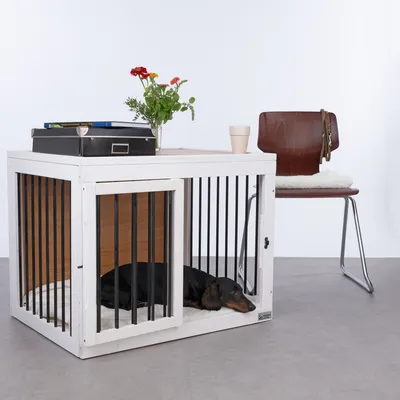 Holz-Hundebox mit schwarzen Gitterstäben, dient als Möbelstück. Hund liegt auf weissem Kissen in der Box. Oberseite dekoriert mit Blumen, Ordner und Tasse.