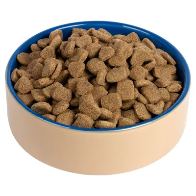 Bowl filled with dry pet food kibble pieces, showing the product’s shape and texture.
