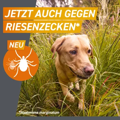 Frontpro Kautablette gegen Zecken und Flöhe, für Hunde 2 bis 4 kg