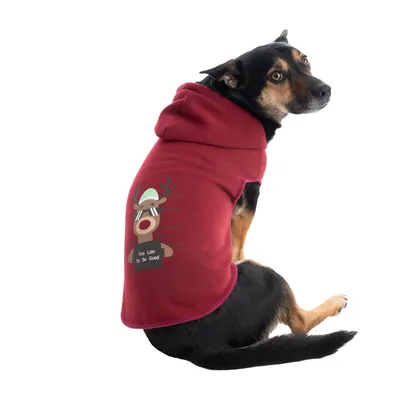 Hund trägt roten Hoodie mit Rentiermotiv und Text 'Too Late To Be Good'.