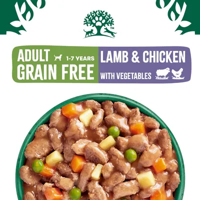 James Wellbeloved Adult Hypoallergenic Grain Free Pouches - Lamb & Chicken in Gravy - 12 x 90g James Wellbeloved Adult Hypoallergenic Grain Free Pouches - Lamb & Chicken in Gravy - 12 x 90g