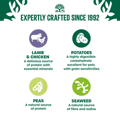 James Wellbeloved Adult Hypoallergenic Grain Free Pouches - Lamb & Chicken in Gravy - 12 x 90g James Wellbeloved Adult Hypoallergenic Grain Free Pouches - Lamb & Chicken in Gravy - 12 x 90g