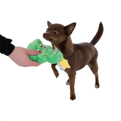 Brun hund interagerer med grønt plyslegetøj formet som et juletræ, der holdes af en hånd.