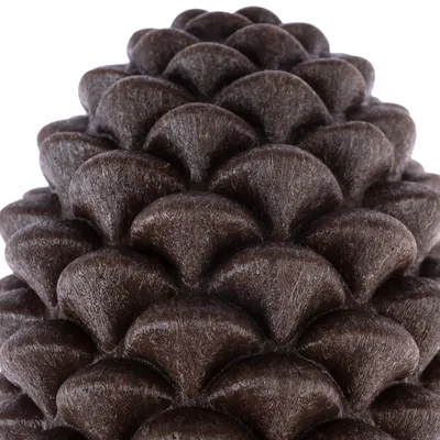 Close-up of brown, round dry food pieces.