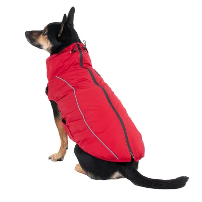 Cane con cappotto rosso con strisce rifrangenti e cerniera sulla schiena.