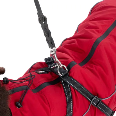 Pettorina rossa per cani con cinghia nera e moschettone in metallo, fissata a un guinzaglio. Vista dettagliata dei componenti di collegamento.