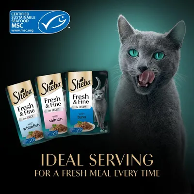 Sheba Fresh & Fine in Jelly pouches with whitefish, salmon and tuna. Certified sustainable seafood MSC. Ideal serving for a fresh meal every time.