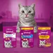 Whiskas Crunch with Chicken, Turkey & Duck
