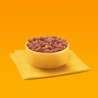 Bowl filled with dry pet food pieces and small orange chunks, placed on a yellow napkin against an orange background.