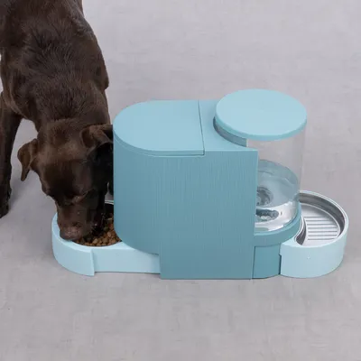 Automatischer Futter- und Wasserspender in Blau, Hund frisst Trockenfutter aus der Futterschale. Transparenter Wasserbehälter sichtbar.