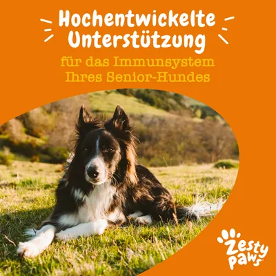 Hochentwickelte Unterstützung für das Immunsystem Ihres Senior-Hundes. Zesty Paws Logo unten rechts.