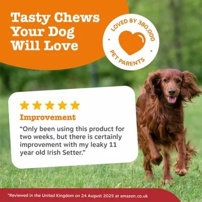 Zesty Paws Cranberry Urinary Care Chews Urinary Health - Turkey - 90 Chews Zesty Paws Cranberry Urinary Care Chews Urinary Health - Turkey - 90 Chews