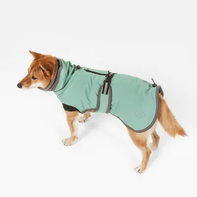 Chien portant un manteau vert clair avec fermeture à boucle et col montant, logo circulaire visible sur le côté arrière du manteau.