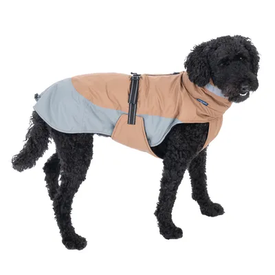 Manteau pour chien bicolore beige et gris avec fermeture à boucle noire, porté par un chien à poil bouclé noir. Étiquette bleue visible sur le col.