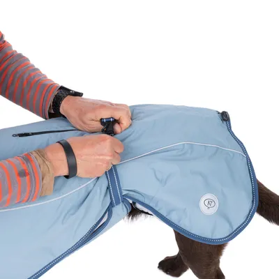 Personne attachant une sangle sur un manteau bleu clair pour chien, logo NT visible sur le côté du manteau.
