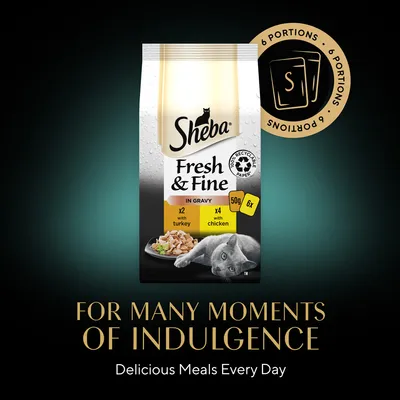 Sheba Fresh & Fine in Gravy macskaeledel, 6×50 g, x2 with turkey, x4 with chicken, újrahasznosítható papír. Felirat: For many moments of indulgence, Delicious Meals Every Day.