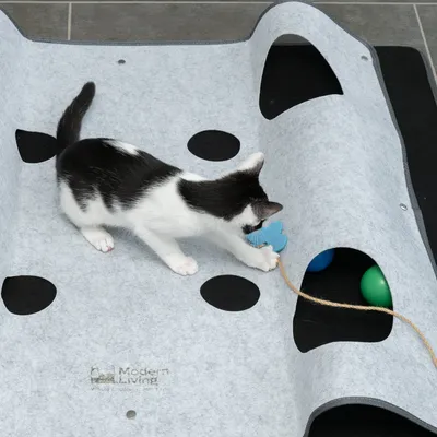 Chaton jouant sur un tapis d’activité gris Modern Living avec trous, balle verte et bleue visibles, papillon bleu attaché à une corde. Marque Modern Living imprimée sur le tapis.