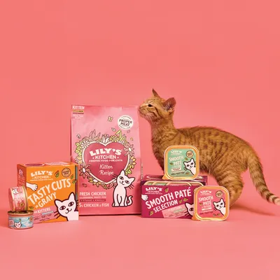 Chaton à côté de plusieurs aliments pour chatons Lily's Kitchen : Kitten Recipe, Tasty Cuts in Gravy, Smooth Paté Selection, boîtes et barquettes visibles, marques et textes lisibles.