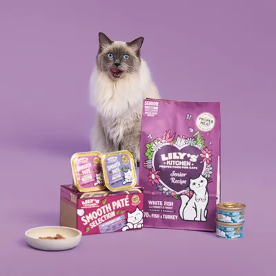Chat assis derrière des aliments pour chats Lily's Kitchen Senior Recipe, sachet White Fish, barquettes Smooth Paté Selection et boîtes de pâtée, sur fond violet.