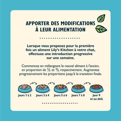 Conseils de transition alimentaire pour chat Lily’s Kitchen : mélange progressif du nouvel aliment sur 9 jours, proportions augmentées chaque étape, instructions détaillées et schéma visuel inclus.