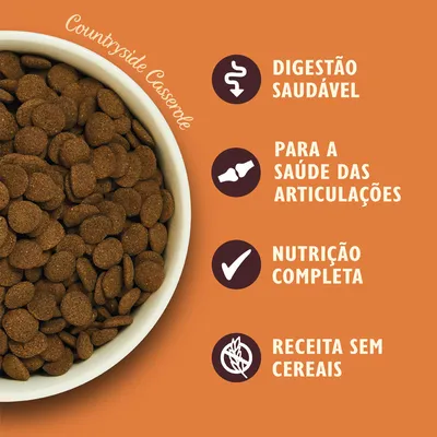 Countryside Casserole. Digestão saudável, para a saúde das articulações, nutrição completa, receita sem cereais.